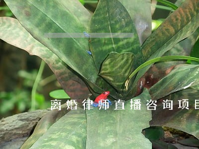 离婚律师直播咨询项目 离婚律师直播咨询项目