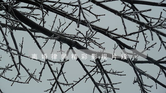 离婚律师精彩影视片段 离婚律师精彩影视片段