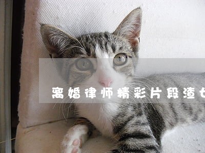 离婚律师精彩片段渣女 离婚律师精彩片段渣女