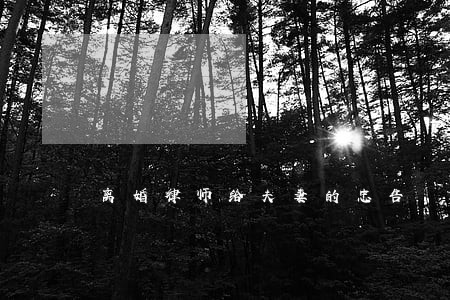 离婚律师给夫妻的忠告 离婚律师给夫妻的忠告