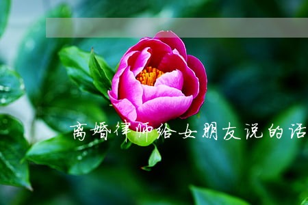 离婚律师给女朋友说的话 离婚律师给女朋友说的话
