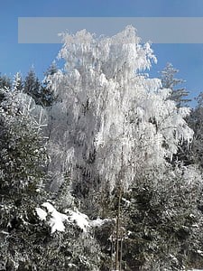离婚律师网站怎么做