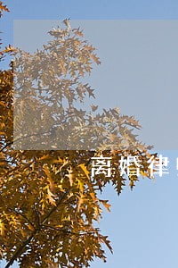 离婚律师美玉的扮演者 离婚律师美玉的扮演者