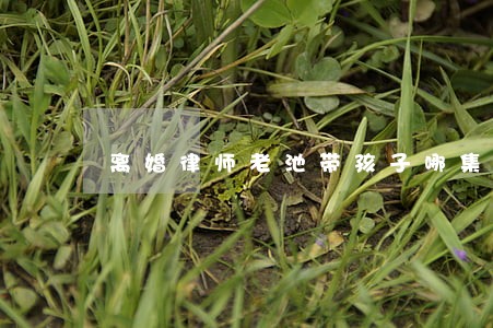 离婚律师老池带孩子哪集