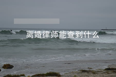 离婚律师能查到什么 离婚律师能查到什么