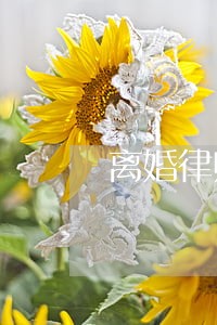 离婚律师艳艳开什么车 离婚律师艳艳开什么车