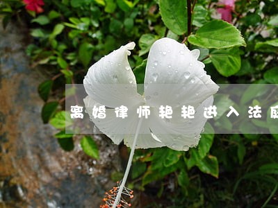 离婚律师艳艳进入法庭 离婚律师艳艳进入法庭