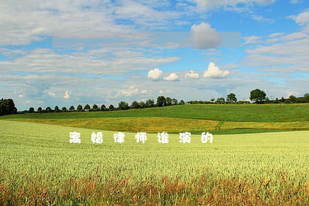 离婚律师谁演的 离婚律师谁演的