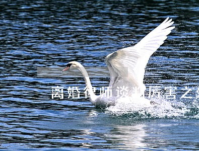 离婚律师谈判厉害之处 离婚律师谈判厉害之处