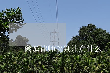 离婚律师谈判注意什么
