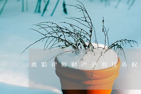 离婚律师财产分割抚养权 离婚律师财产分割抚养权