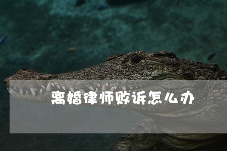 离婚律师败诉怎么办