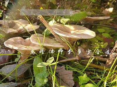 离婚律师费多少合适 离婚律师费多少合适