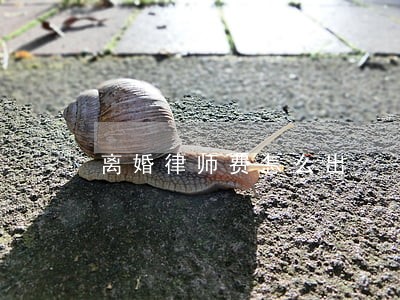 离婚律师费怎么出 离婚律师费怎么出