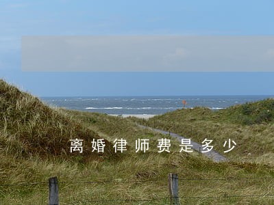 离婚律师费是多少 离婚律师费是多少