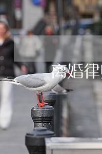 离婚律师费标准是多少 离婚律师费标准是多少