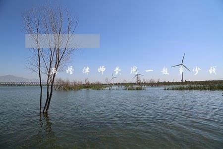 离婚律师费用一般多少钱 离婚律师费用一般多少钱