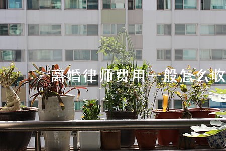 离婚律师费用一般怎么收费 离婚律师费用一般怎么收费