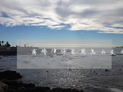 离婚律师费用怎么支付 离婚律师费用怎么支付
