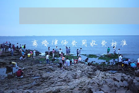 离婚律师费用收费标准 离婚律师费用收费标准