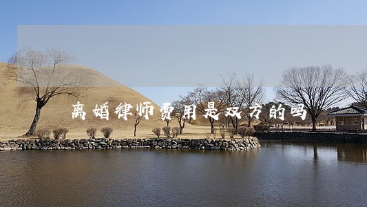 离婚律师费用是双方的吗 离婚律师费用是双方的吗