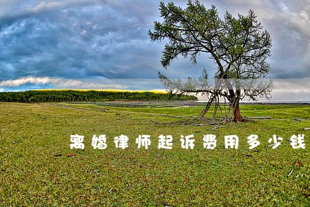 离婚律师起诉费用多少钱 离婚律师起诉费用多少钱