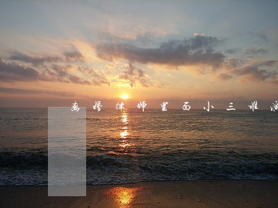 离婚律师里面小三谁演的 离婚律师里面小三谁演的