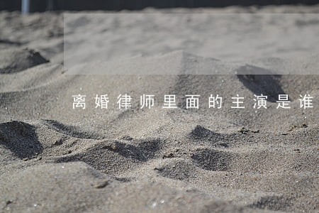 离婚律师里面的主演是谁 离婚律师里面的主演是谁