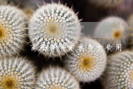 离婚律师需要多少费用 离婚律师需要多少费用