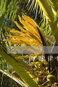 离婚律师顾问费用怎么收 离婚律师顾问费用怎么收