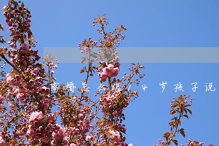 离婚怎么跟14岁孩子说 离婚怎么跟14岁孩子说
