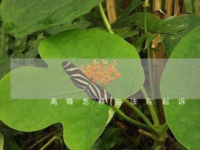 离婚怎样向法院起诉 离婚怎样向法院起诉