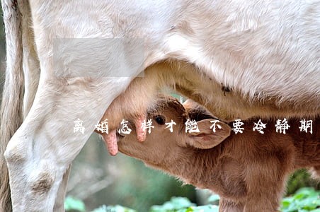 离婚怎样才能不要冷静期 离婚怎样才能不要冷静期