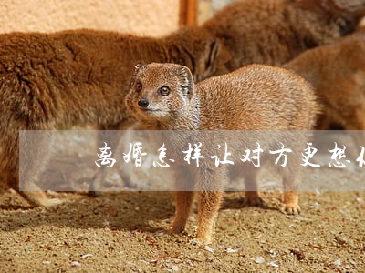 离婚怎样让对方更想你 离婚怎样让对方更想你