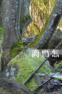 离婚怎样跟女方分户 离婚怎样跟女方分户