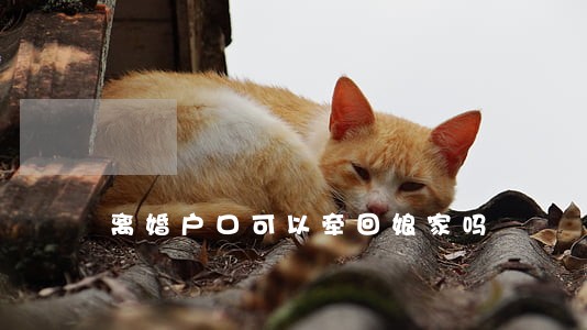 离婚户口可以牵回娘家吗 离婚户口可以牵回娘家吗