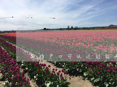 离婚户口可以迁到前夫父母名下 离婚户口可以迁到前夫父母名下