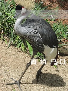 离婚户口本可以办理假的吗 离婚户口本可以办理假的吗