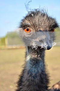离婚户口补充协议范本 离婚户口补充协议范本