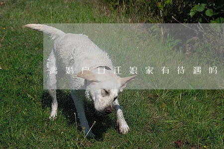 离婚户口迁娘家有待遇吗 离婚户口迁娘家有待遇吗