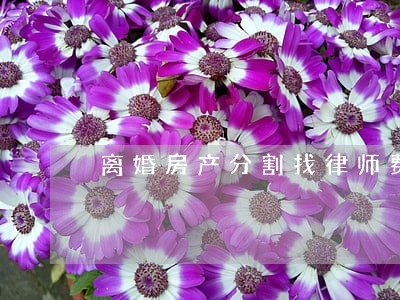 离婚房产分割找律师费用 离婚房产分割找律师费用