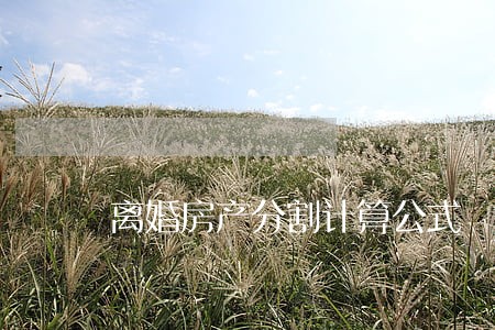 离婚房产分割计算公式 离婚房产分割计算公式