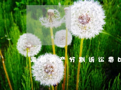 离婚房产分割诉讼费比例 离婚房产分割诉讼费比例