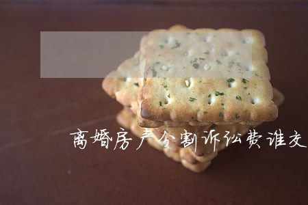 离婚房产分割诉讼费谁交 离婚房产分割诉讼费谁交