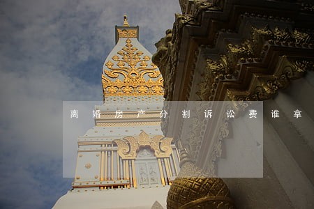 离婚房产分割诉讼费谁拿 离婚房产分割诉讼费谁拿