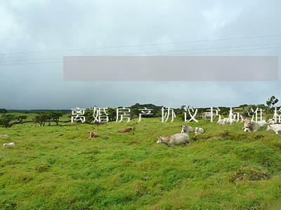 离婚房产协议书标准格式 离婚房产协议书标准格式