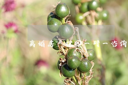 离婚房产律师一对一咨询 离婚房产律师一对一咨询