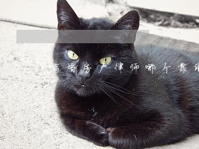 离婚房产律师哪个靠谱