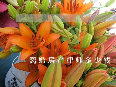 离婚房产律师多少钱 离婚房产律师多少钱