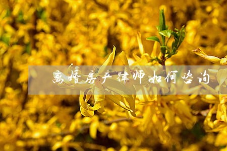 离婚房产律师如何咨询